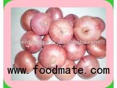 RED ONION ORGANIC