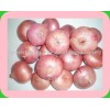 RED ONION ORGANIC