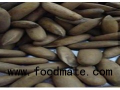 PINE NUTS,PINE SEEDS OR CHILGOZA