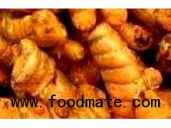 Turmeric Fingers