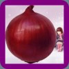 RED ONION WHOLE