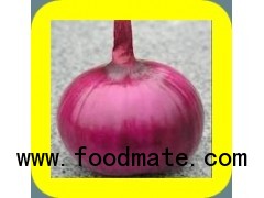 RED ONION PILE