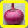 RED ONION PILE