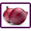 RED ONION MIDDEL