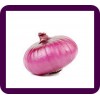 RED ONION VERIETY