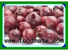 RED FRESH ONION