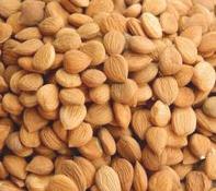 almond