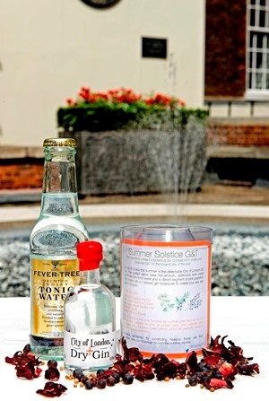 Gin & Tonic Cocktail Kit