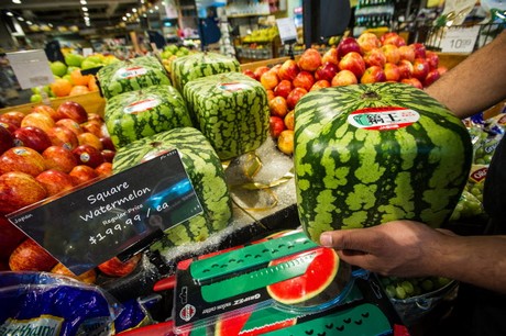 square watermelon