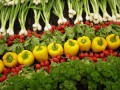 Organic Food Market Returns To Growth In Ireland - Bord Bia