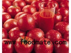 Best Price Tomato Paste with Drum Packing, Canned Packing
