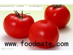 Competitive Tomato Sauce China Supplie 28 30% (MDL-004)