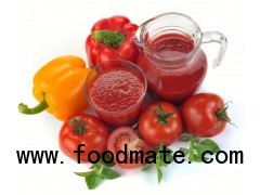100% Pure Fresh Canned Tomato Paste, Tomato Paste for Europe & Dubai
