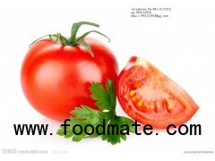 800g Fresh and Good Taste Tomato Paste in Canned