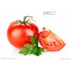 800g Fresh and Good Taste Tomato Paste in Canned