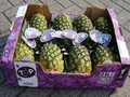 Total Produce adds pineapple to its TOP home brand