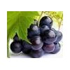 Grape Seed Extract, Vitis Vinifera Extract - 100% Natural