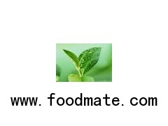 Green Tea Extract,  Tea Polyphenol, Natural Catechins,  EGCG, Green Tea PE