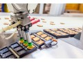 FANUC to Showcases Widest Range of Food Handling Robots
