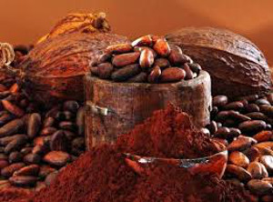 Chocolate manufacturer Hachez