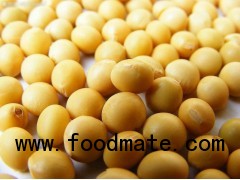 Soybean Extract