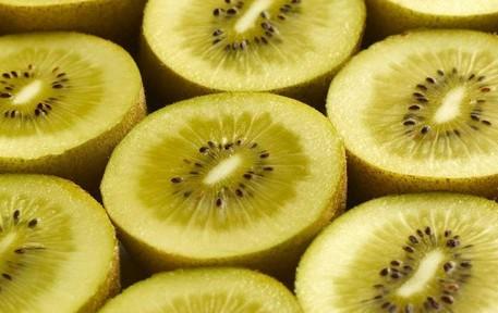 New Zealand Kiwifruit Growers