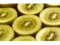 Viability of G9 kiwifruit under question