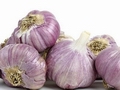 Commodities Australian garlic growers could be looking at year-round production
