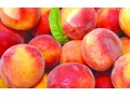 Exceptional Measures to Assist Peach and Nectarine Producers