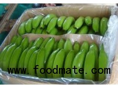 Fresh Green Cavendish Banana