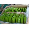 Fresh Green Cavendish Banana