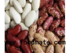 White Kidney Beans