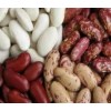 White Kidney Beans