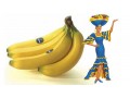 Chiquita Recieves Unsolicited Offer From Cutrale Group and Safra Group