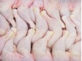 Philippines to Monitor Chicken Price Movements