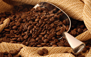 robusta beans