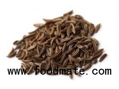 cumin seed