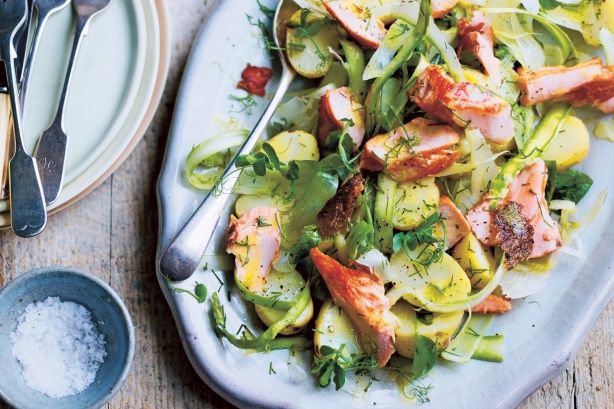 asparagus and fennel