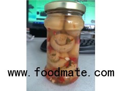 Canned Food Fresh Mushroom Whole in Glass Jars