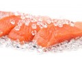 Over Seas Demand Remains High for Scottish Salmon