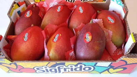  mango