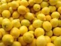 Argentinian Shipments Of Lemons To Europe Drop Dramatically