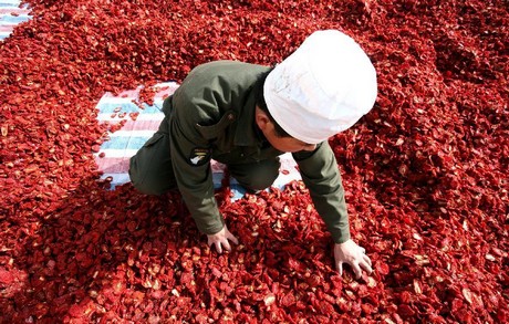 Air-dried tomatoes