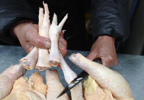 tainted chicken feet