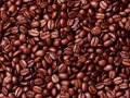 Brazil Coffee Output Set for Longest Decline Since 1965