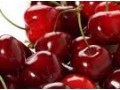 Australia's cherry production 2014-15 forecast to expand
