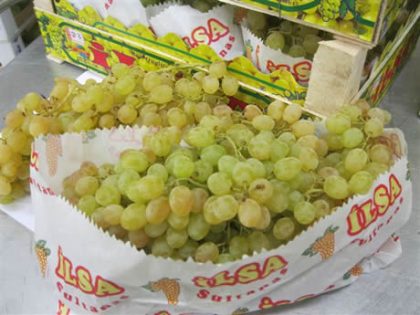 Sultana grapes