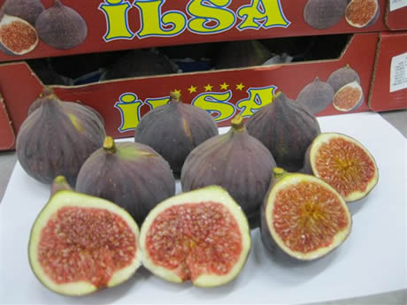 Figs