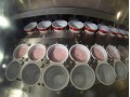 Challenging Italian Yogurt Market Impacts Emmi’s First Half Profits