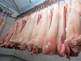 European pig slaughter 